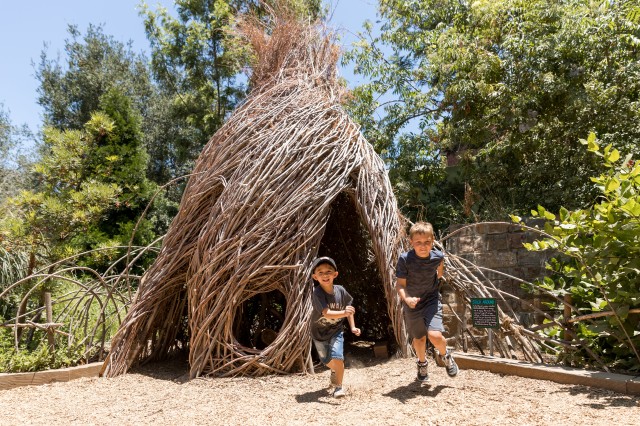 Boys run out of a house made of willow branches