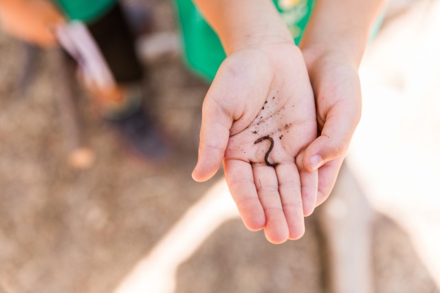 A worm in a child&#039;s hands from the Get Dirty Zone&#039;s compost bins