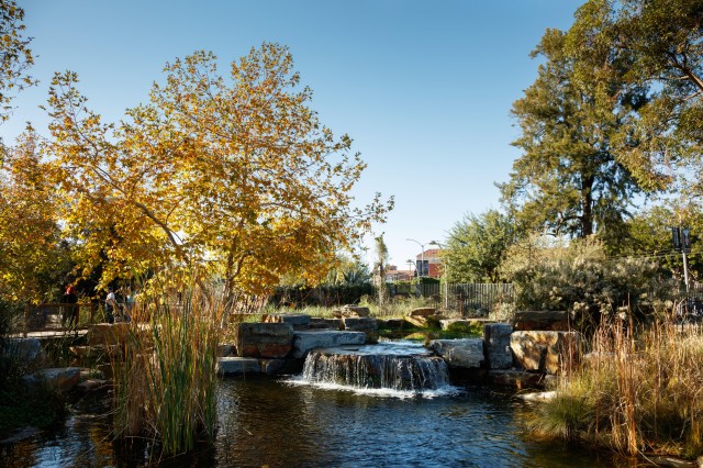 pond and waterfall in nature gardens