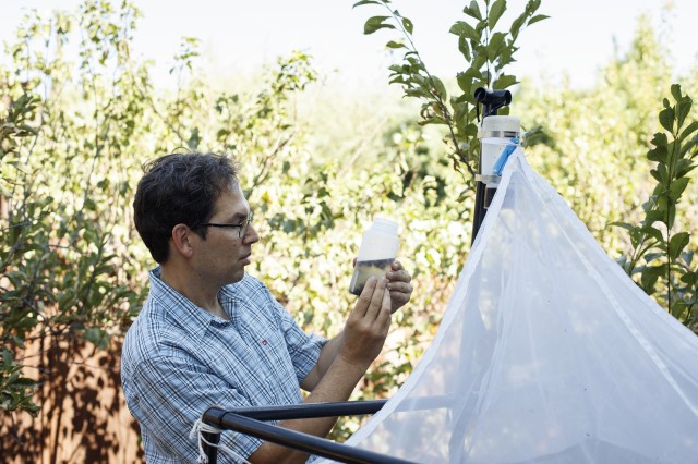 Dr Brian Brown (Entomology) examining his work in the field