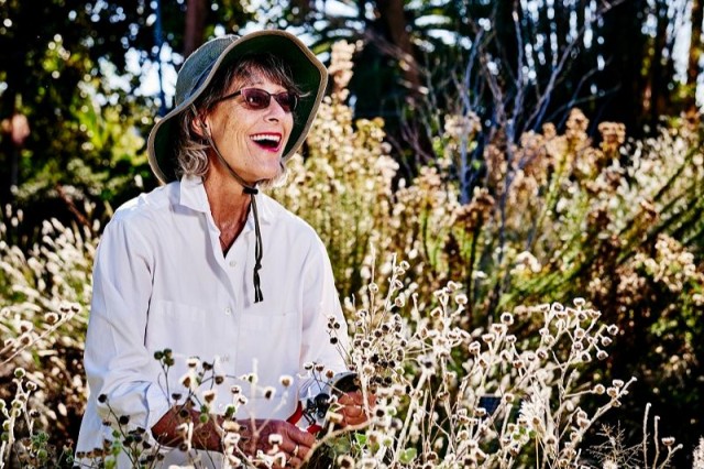 Carol Bornstein
