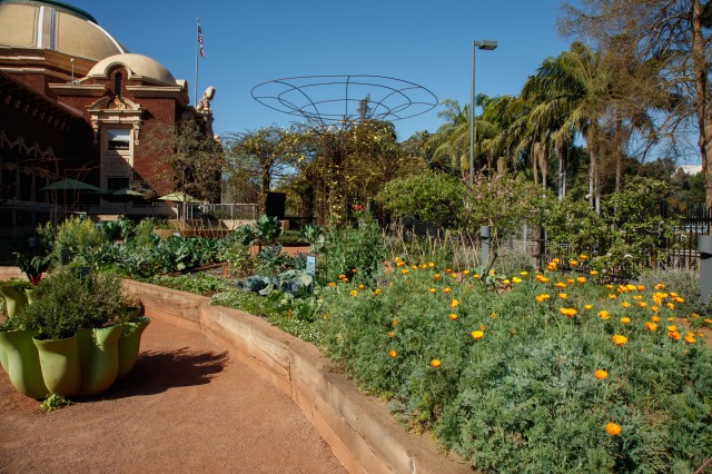 NHM Edible Gardens