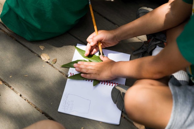 Closeup fo child hands holding a pencil and leaf over a notebook