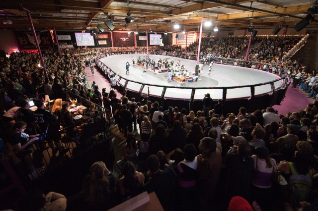 Side-view of a banked roller derby track with a skater passing over