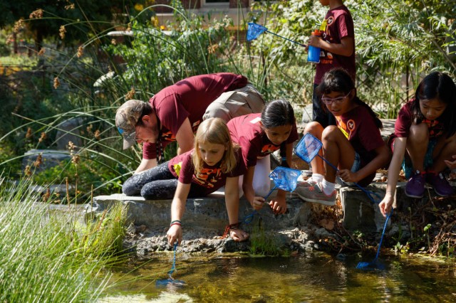 Students holding blue nets and hovering over a pond