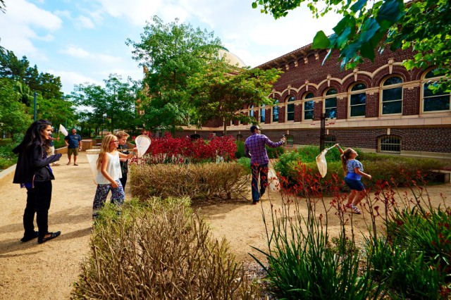 Visitors holding bug nets in the garden with the Museum in the background