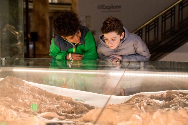 two children leaning over and looking into a glass display
