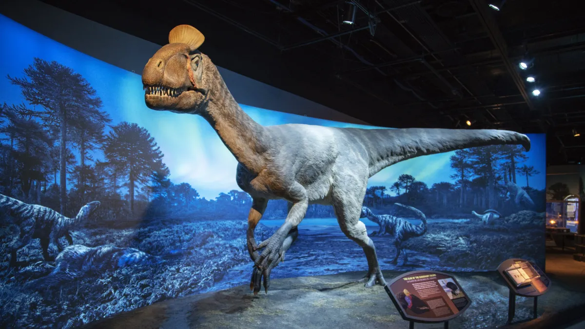 la brea dinosaur museum