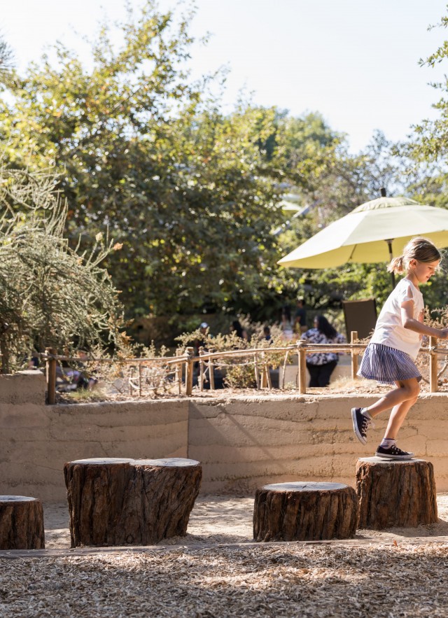 Girl jumps from one tree stump to another
