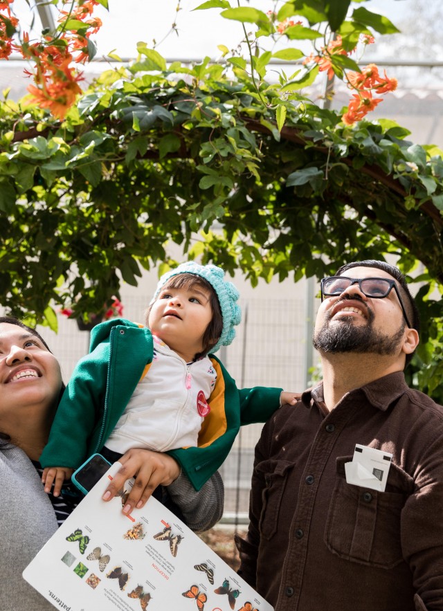 family in butterfly pavilion