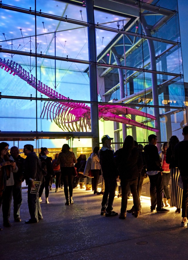 otis booth pavilion lit up first fridays event crowd