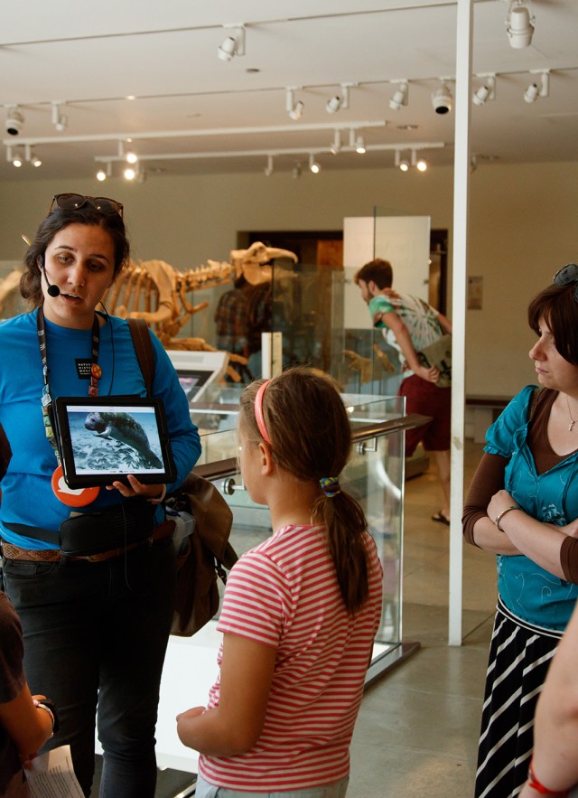 gallery interpreter on tour with guests dinosaur hall