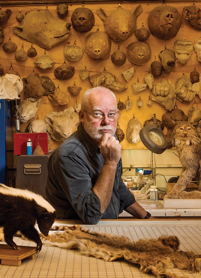 Tim Bovard in taxidermy studio 