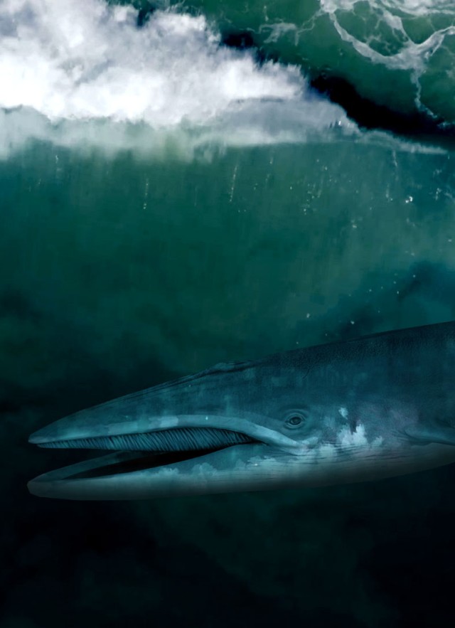 L.A. Underwater Exhibition