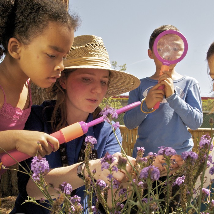 Children looking at flowers with magnifiers