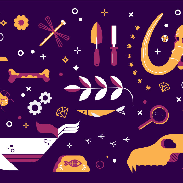 Skulls, dragonfly, gears, and other scientific illustrations in yellow, pink, and white on purple background