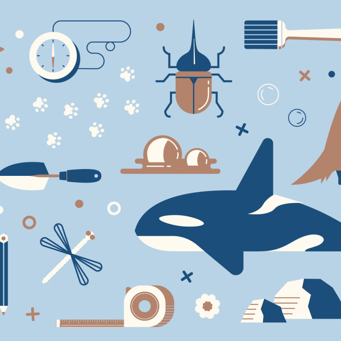 Bat, whale, beetle, clock and other scientific and nature-themed icons in navy, sky blue, and white