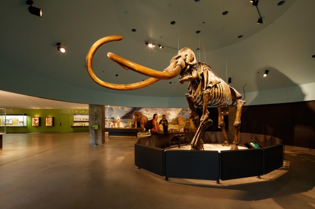 Mammoth