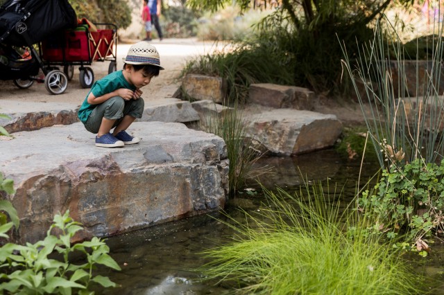 Little boy in hat crouches on a low rock ledge and looks into the nature gardens pond