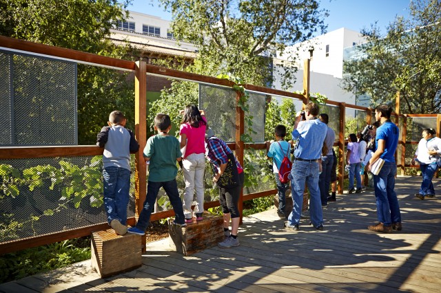 Students birdwatching in Nature Garden