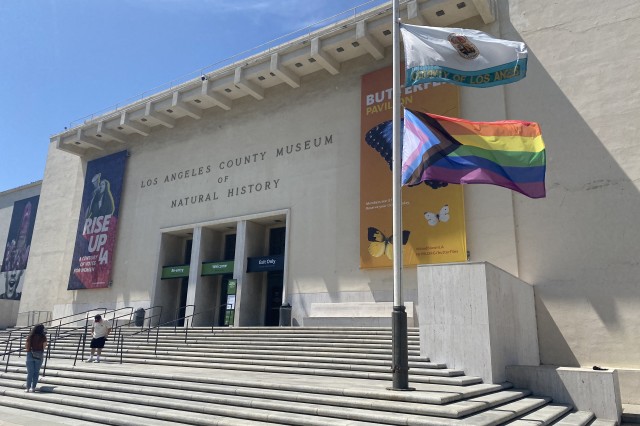Museum with progress flag at forefront