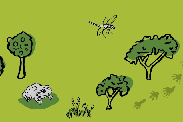 Graphic of trees and insects