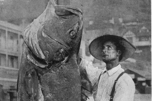 Giant fish with guy staring at it