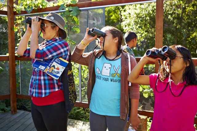 Visitors looking up, holding binoculars to their eyes 