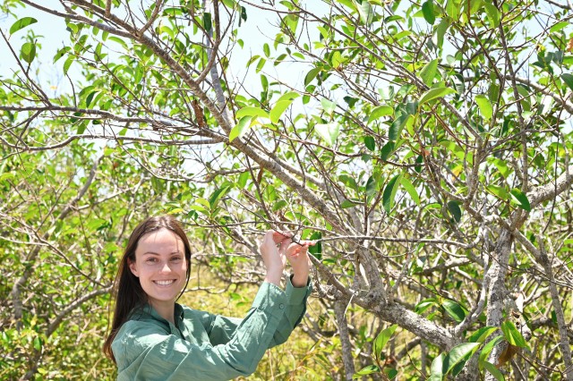 a woman holds a twig from a tree