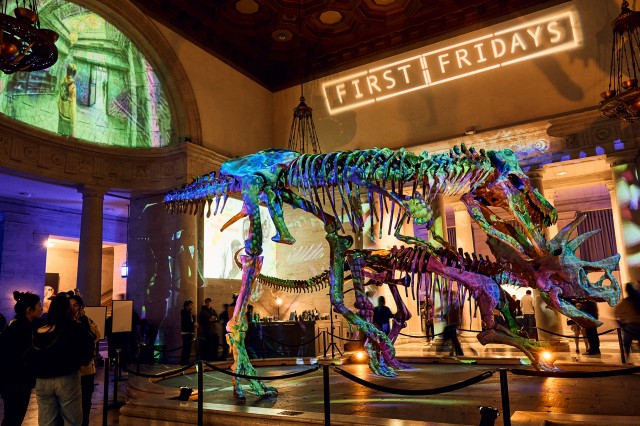 Two dinosaur skeletons with green and purple light projected over them and First Fridays projected on the wall behind them
