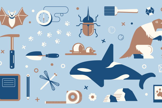 Bat, whale, beetle, clock and other scientific and nature-themed icons in navy, sky blue, and white