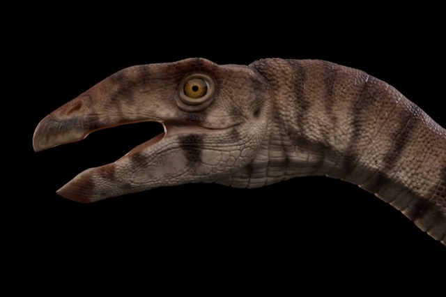 Head of a dinosaur like creature on a black background