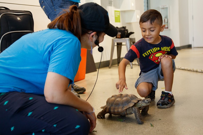 gallery interpreter with child and tortoise in nature lab meet a live animal