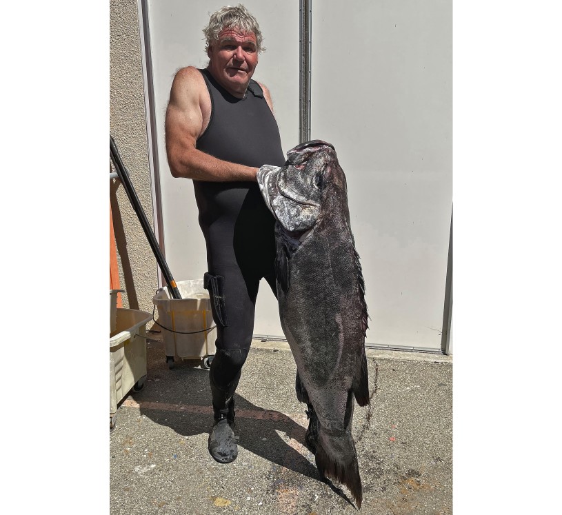 Mike Couffer with salvaged giant sea bass