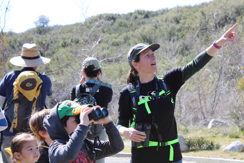 People pointing and looking for birds 