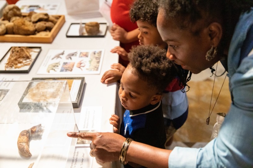Mother and child looking at dinosaur fossils laid out on a table display.